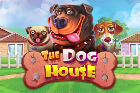 Игра:The Dog House